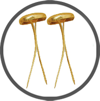 Brass Fasteners